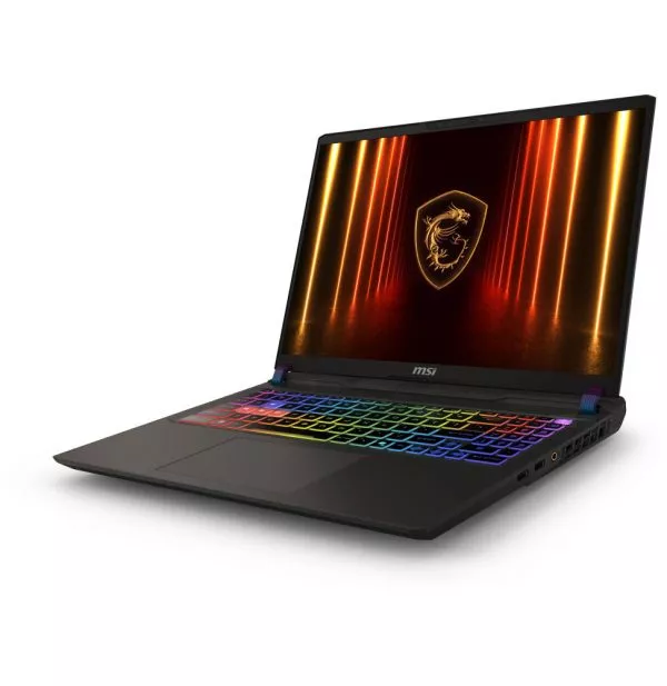 Ordinateur Portable Gaming MSI Vector 16 HX AI (9S7-15M352-015)
