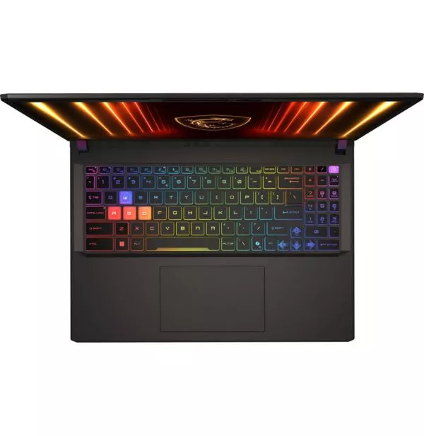 Ordinateur Portable Gaming MSI Vector 16 HX AI (9S7-15M352-015)