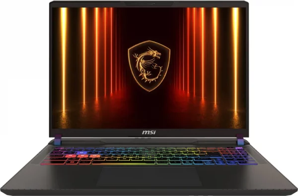 Ordinateur Portable Gaming MSI Vector 16 HX AI (9S7-15M352-015)
