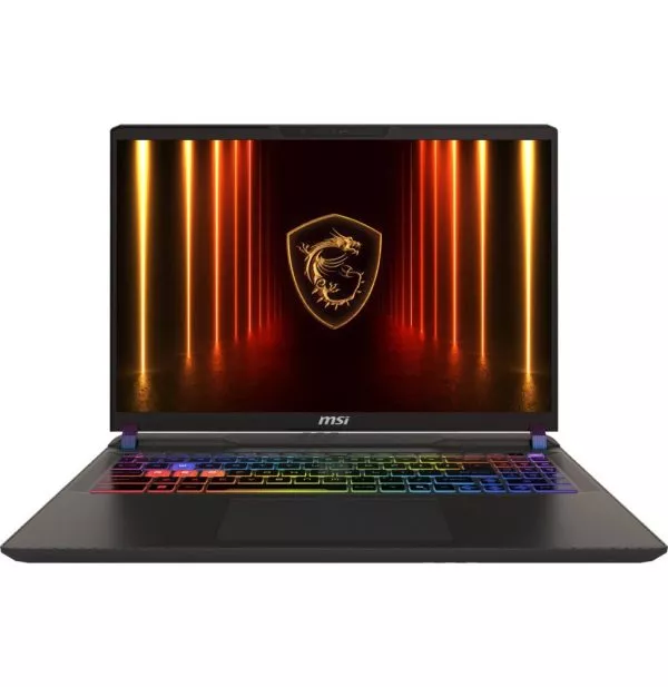 Ordinateur Portable Gaming MSI Vector 16 HX AI (9S7-15M352-015)