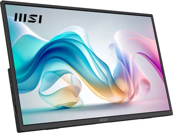 Écran portable 16" Full HD MSI Pro MP165 E6 (4711377318631)