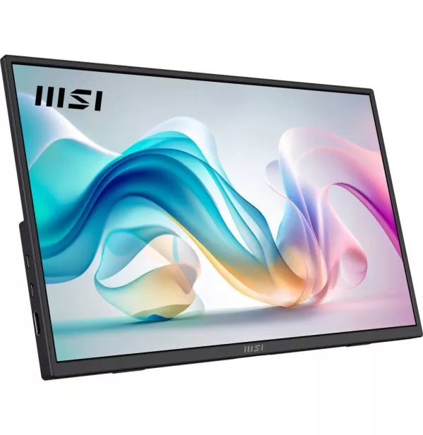 Écran portable 16" Full HD MSI Pro MP165 E6 (4711377318631)
