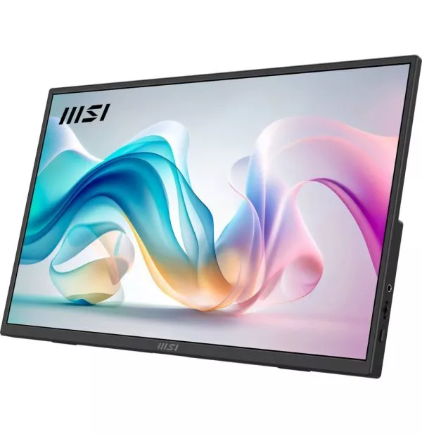 Écran portable 16" Full HD MSI Pro MP165 E6 (4711377318631)