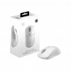 Souris gaming sans fil Bluetooth MSI Versa 300 W (S12-4301440-CLA)