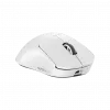 Souris Gaming Sans Fil Logitech G Pro X Superlight 2 Dex (910-007366)
