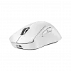 Souris Gaming Sans Fil Logitech G Pro X Superlight 2 Dex (910-007366)
