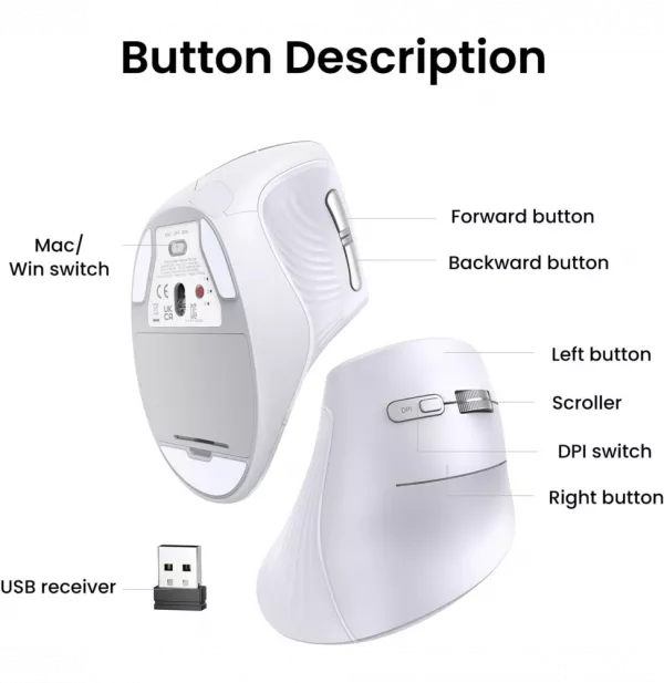 souris-sans-fil-bluetooth-ugreen-multi-mode-vertical-blanc-mu008-45759-2 Souris sans fil Bluetooth Ugreen Multi-mode Vertical Blanc MU008 (45759)