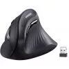 souris-sans-fil-bluetooth-ugreen-multi-mode-vertical-noir-25444 Souris sans fil Bluetooth Ugreen Multi-mode Vertical Noir (25444)