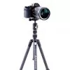 Vanguard Trépied VESTA TB 204CB (4719856247922)
