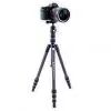 Vanguard Trépied VESTA TB 204CB (4719856247922)