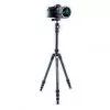Vanguard Trépied VESTA TB 204CB (4719856247922)