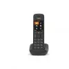 Duo de téléphones sans fil DECT Gigaset C575A avec écrans couleur et répondeur intégré (4250366861715)