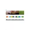Microsoft Windows 10 Pro 64 Bits - Anglais - 1 Poste (FQC-08929)