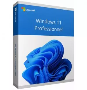 Microsoft Windows 11 Professionnel 64 bits Anglais - Licence originale (FQC-10528)
