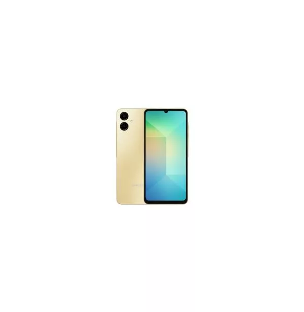 Smartphone Samsung Galaxy A06 Or 64 Go écran 6,7" 50 MP (SM-A065FZDDMWD)