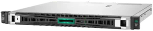 Serveur HPE ProLiant DL20 Gen11 (P87462-425)