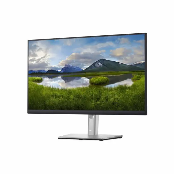Ecran MONITEUR DELL 23.8″ (P2422H-3Y)