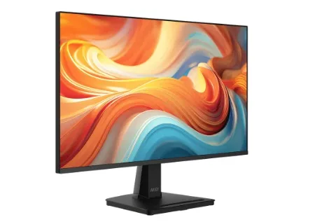 Écran MSI 25″ Full HD PRO MP251 E14L (9S6-3PD2CM-049)