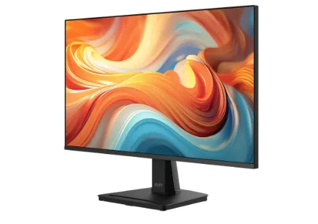 Écran MSI 25″ Full HD PRO MP251 E14L (9S6-3PD2CM-049)