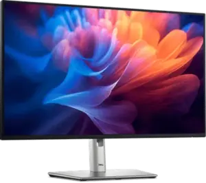 Écran DELL P Series P2725H (P2725H)