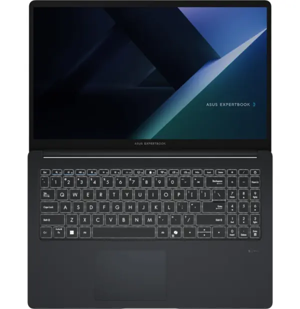 Ordinateur portable Asus ExpertBook B1 (B1503CVA-S70252)