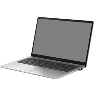 Ordinateur portable Asus ExpertBook P1 (P1503CVA-S72923)