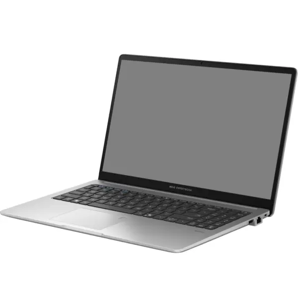 Ordinateur portable Asus ExpertBook P1 (P1503CVA-S72923)